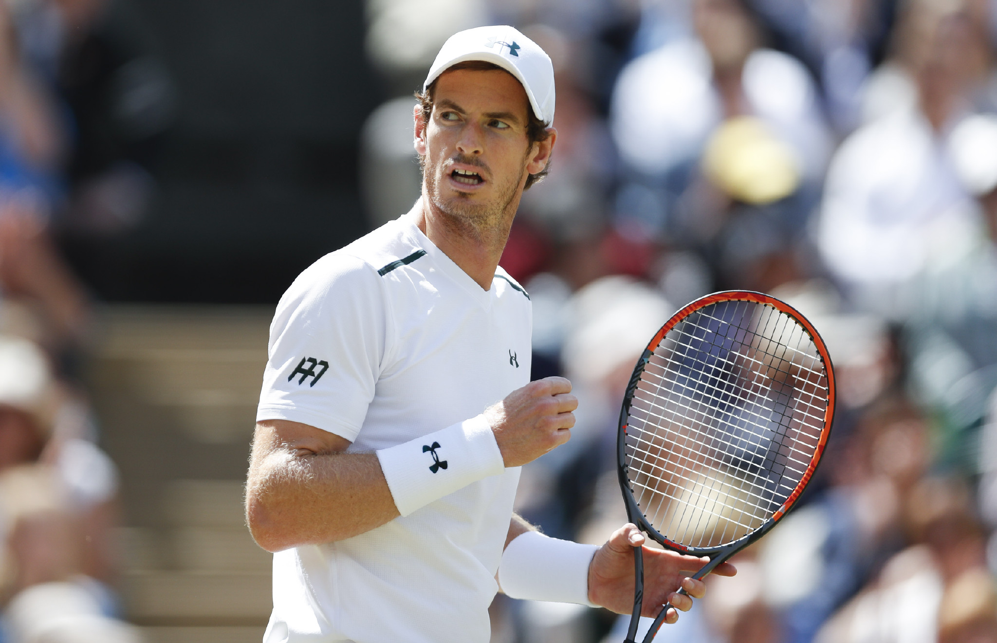 温网横扫ATP总决赛，穆雷高光表现