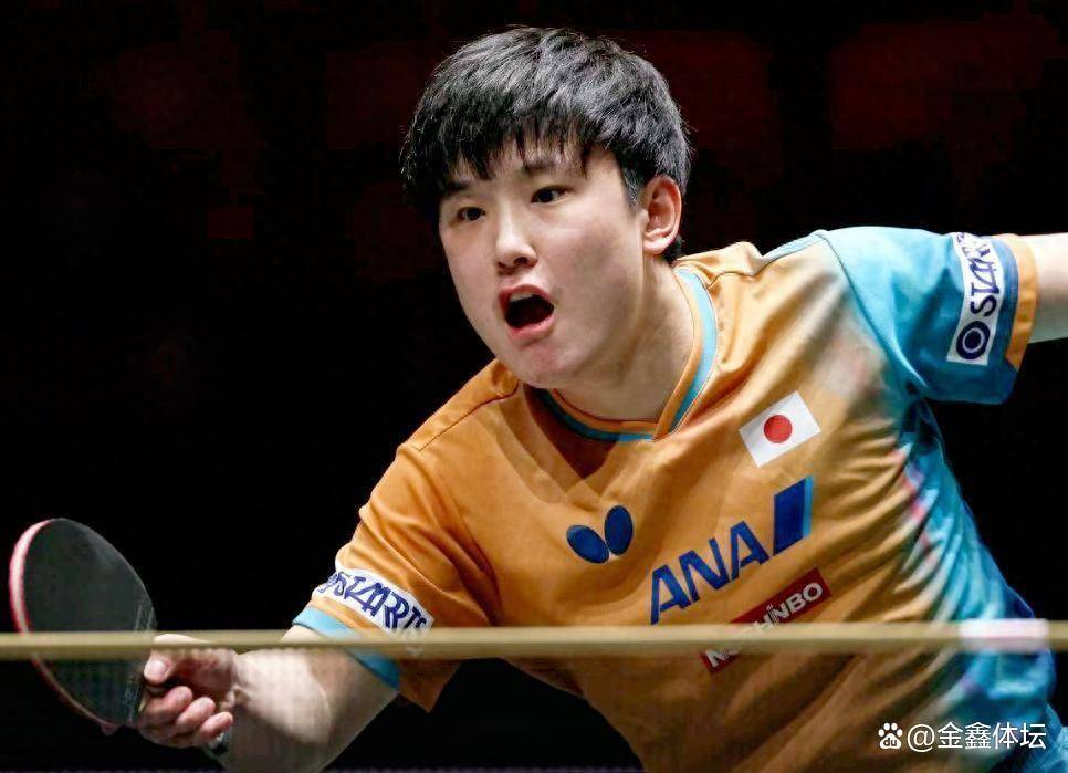 法国队完胜韩国队,张本智和扛起全队 法国队完胜韩国队,张本智和扛起全队