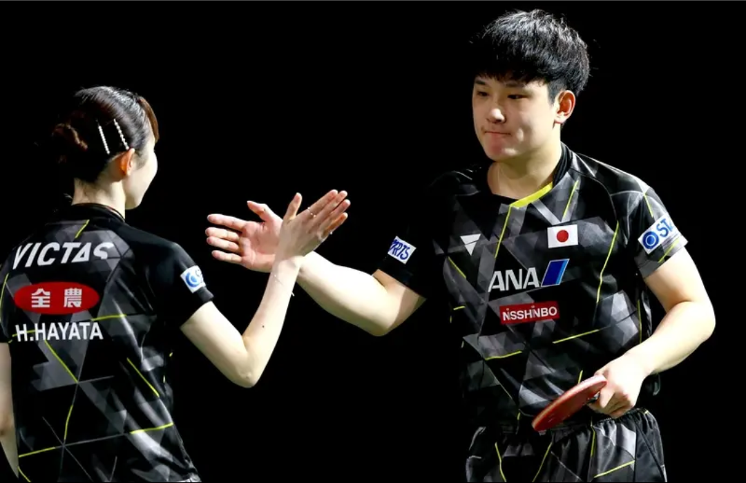 日本队碾压波兰队，张本智和扛起全队