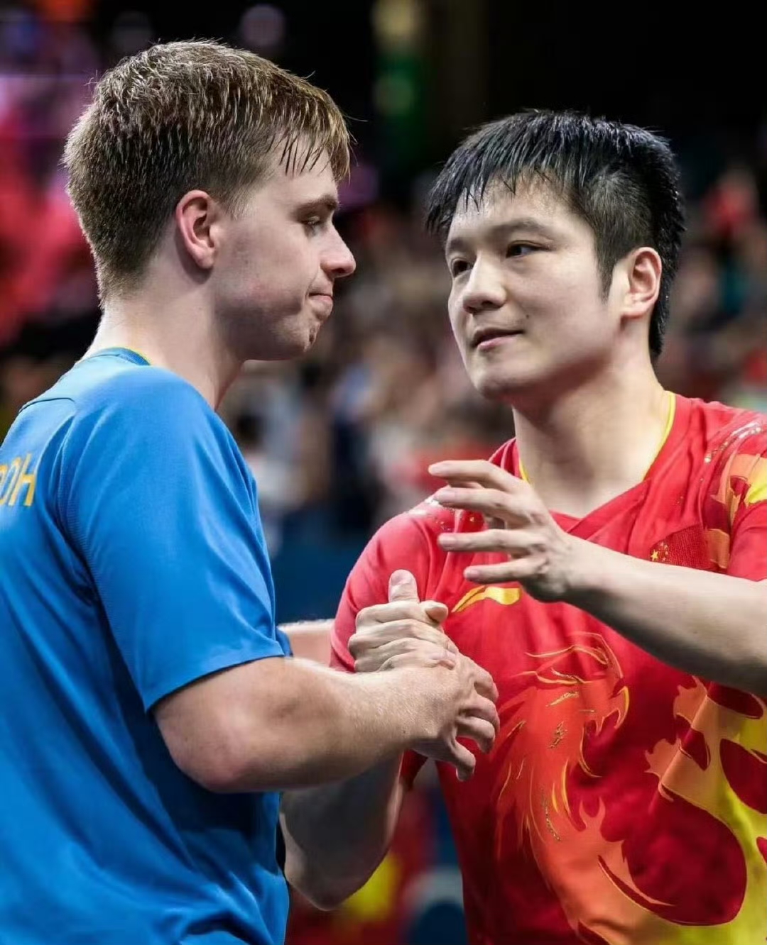 韩国队鏖战德国队，樊振东扛起全队