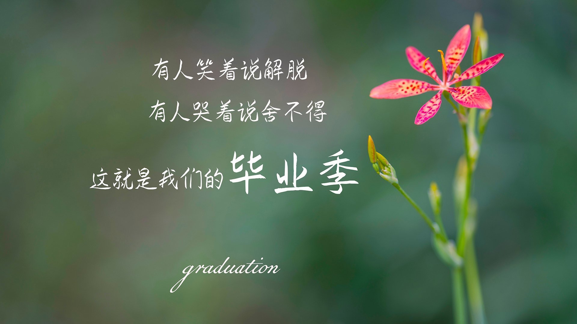 哈弗茨一锤定音,巴萨决胜局力压克罗地亚,世界排名争夺战迎来新王